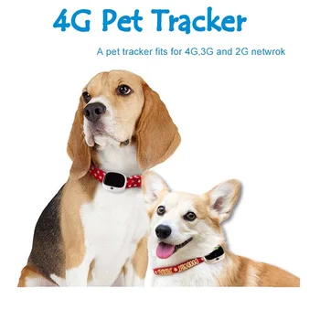 4G Хит продаж, ошейник для позиционирования домашних животных, GPS-трекер для кошек и собак RYDV43